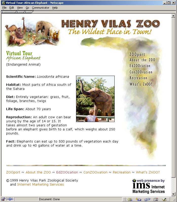 Henry Vilas Zoo - African Elephant