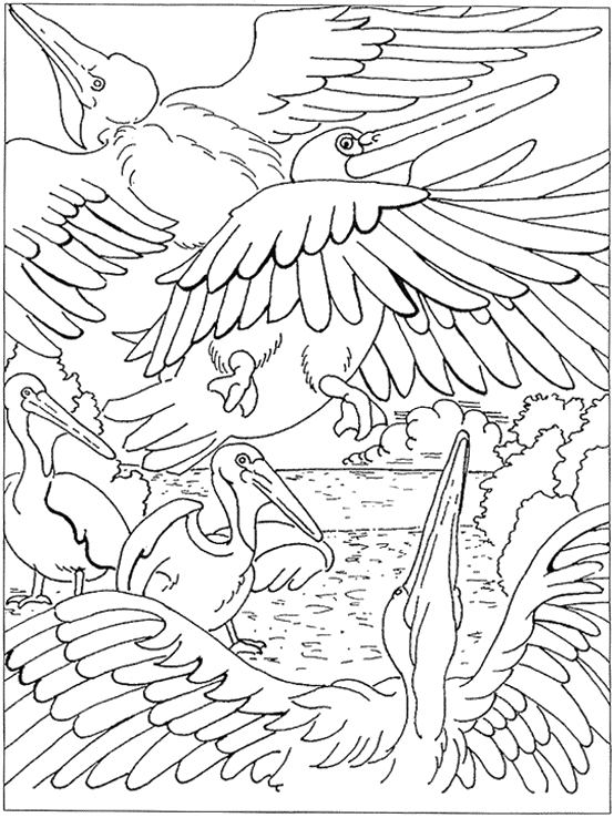 Coloring Page #5