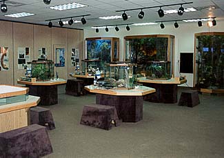 The Discovery Center