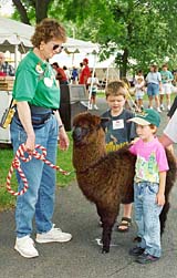 Zoo Crew