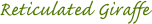 Reticulated Giraffe